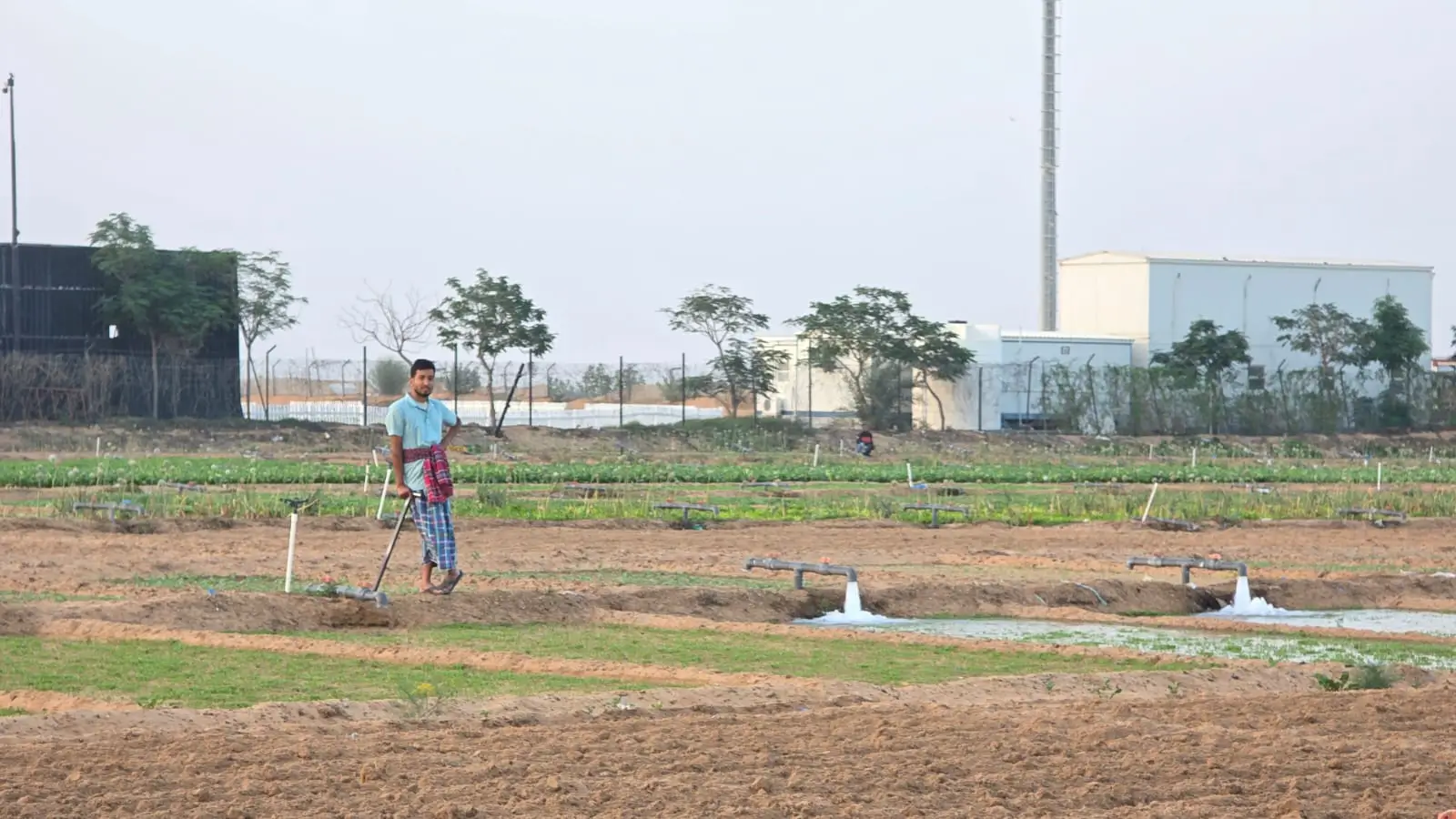 Vegetables Garden Drip irrigation system