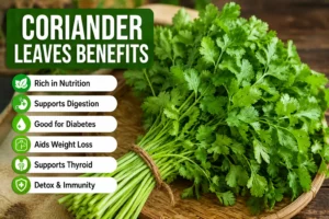 Coriander Leaves Benefits
