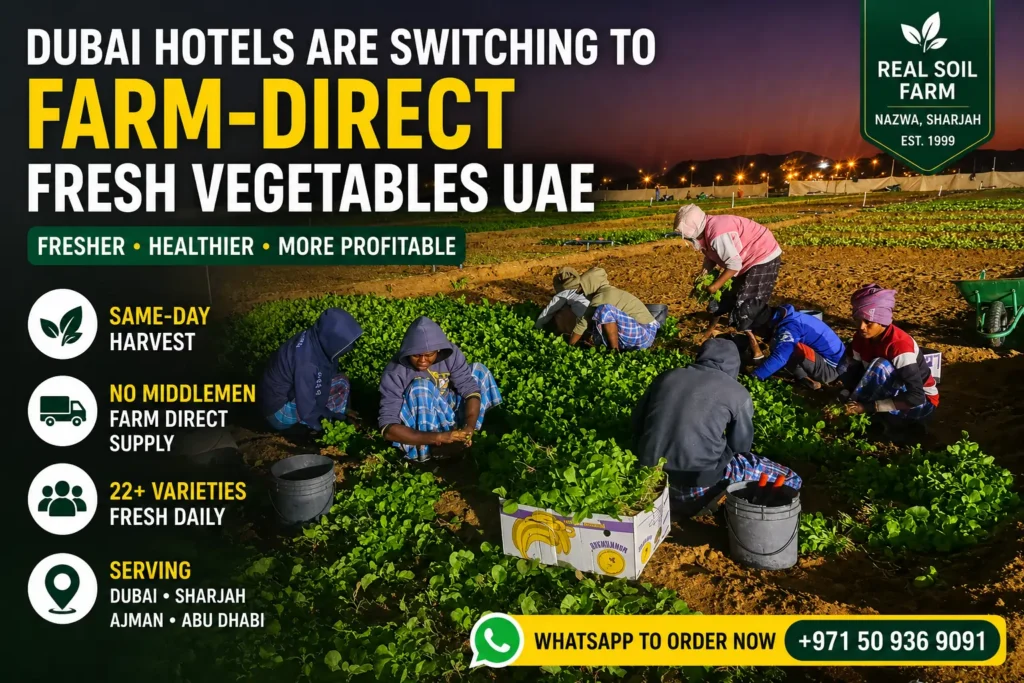 Fresh vegetables UAE supplier in Dubai
