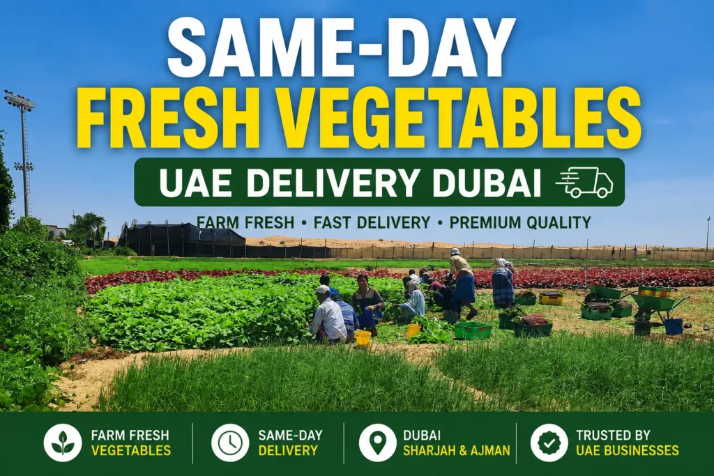 Fresh vegetables harvested for UAE restaurants