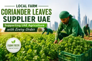 Fresh bulk coriander leaves supplier UAE for restaurants and hotels