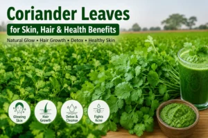 Fresh coriander leaves for skin glow and hair growth in Dubai