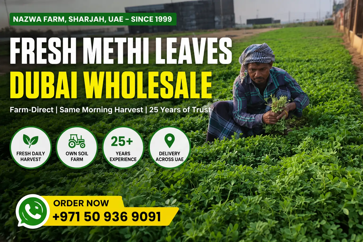 Fresh Methi Leaves Dubai Wholesale