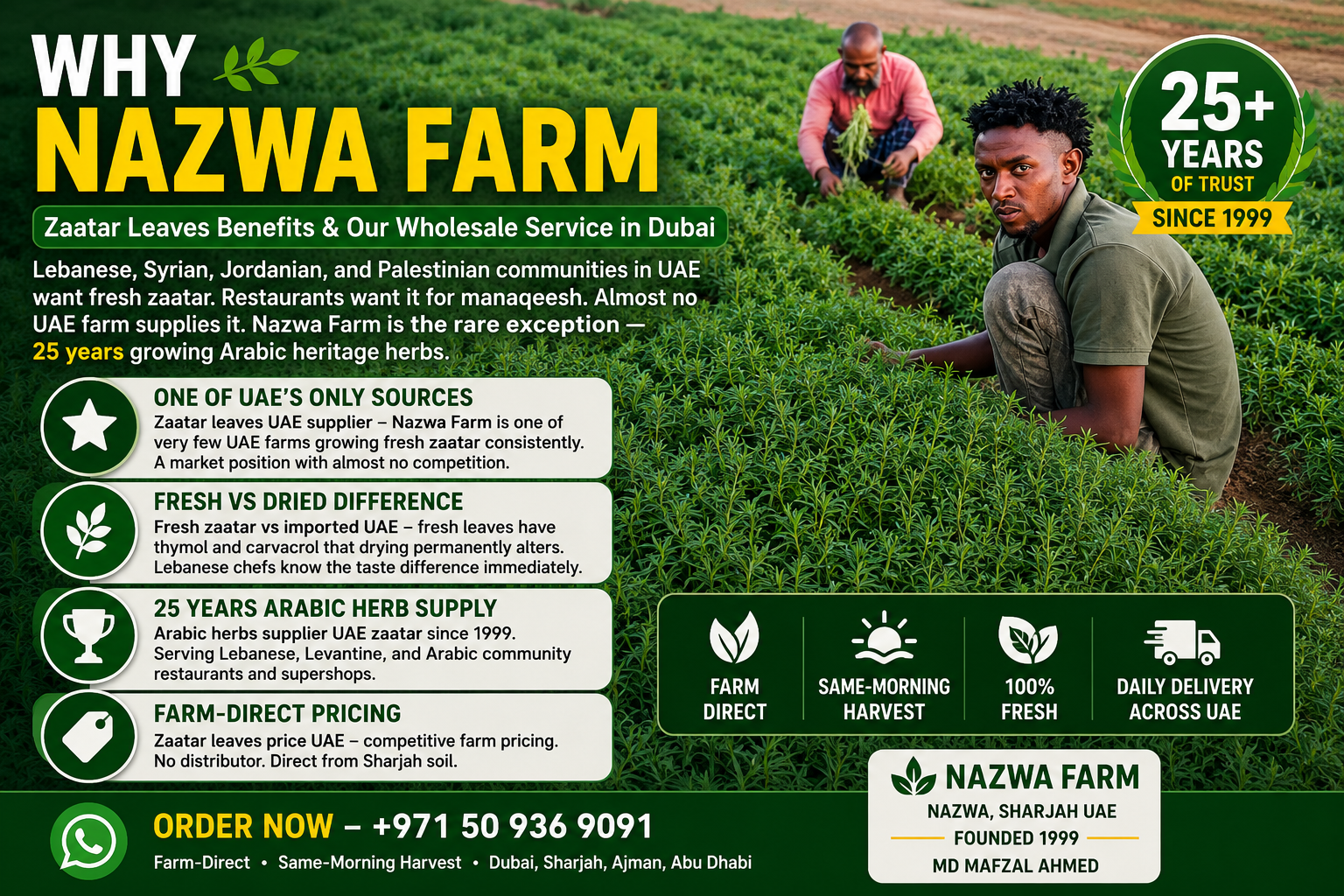 Why Nazwa Farm Fresh Zaatar Supplier UAE Since 1999