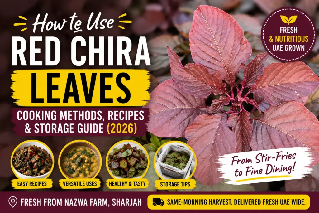 How to Cook Red Chira Leaves Like a Pro in UAE