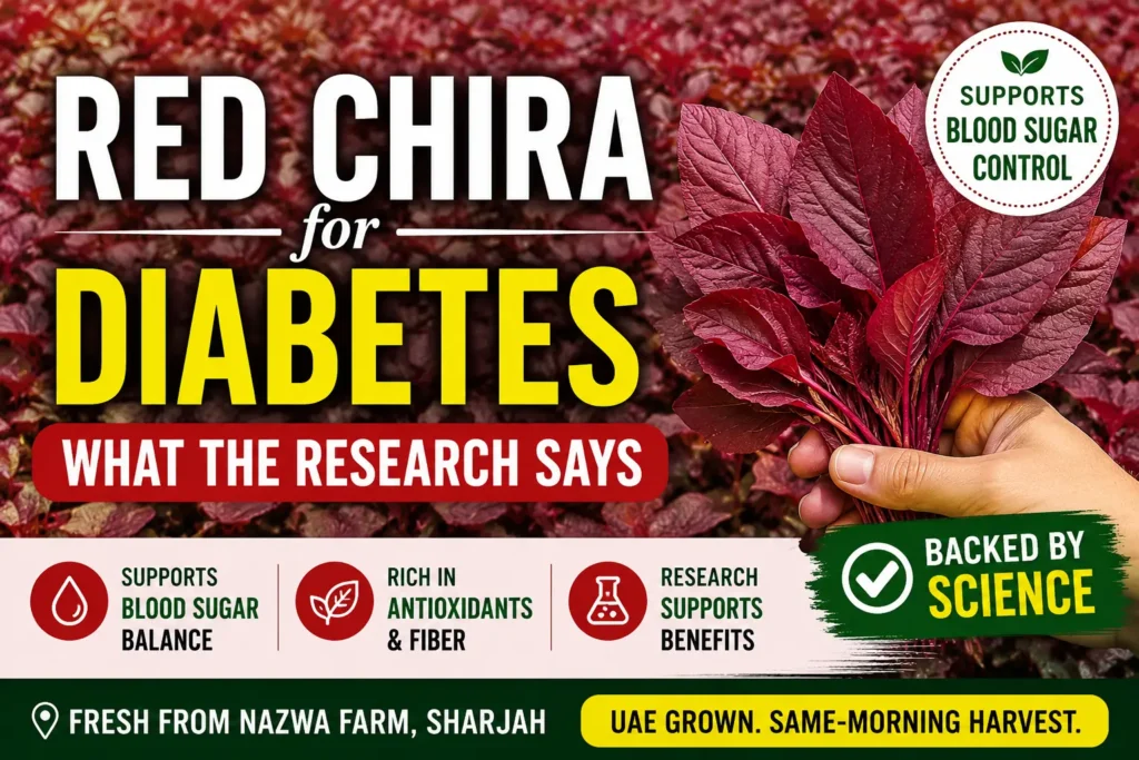 Red Chira for Diabetes: Blood Sugar Support in UAE