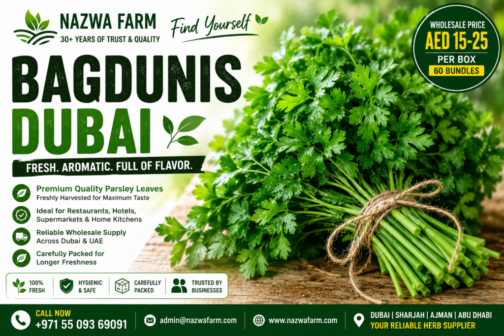 Bagdunis Dubai: Where to Buy Fresh Parsley in Dubai