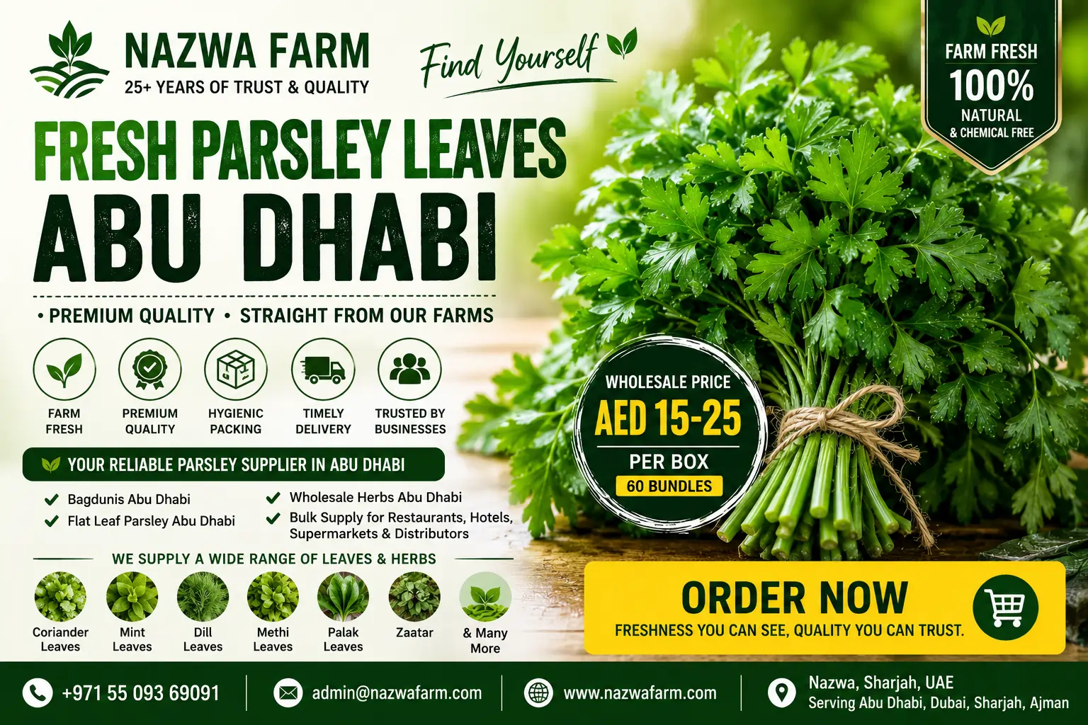 Fresh Parsley Leaves Abu Dhabi | Premium Wholesale Parsley Supplier