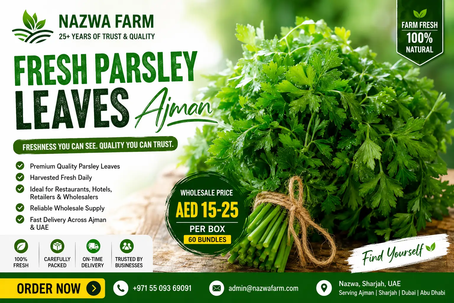 Fresh Parsley Leaves Ajman | Premium Parsley Supplier for Restaurants & Retail