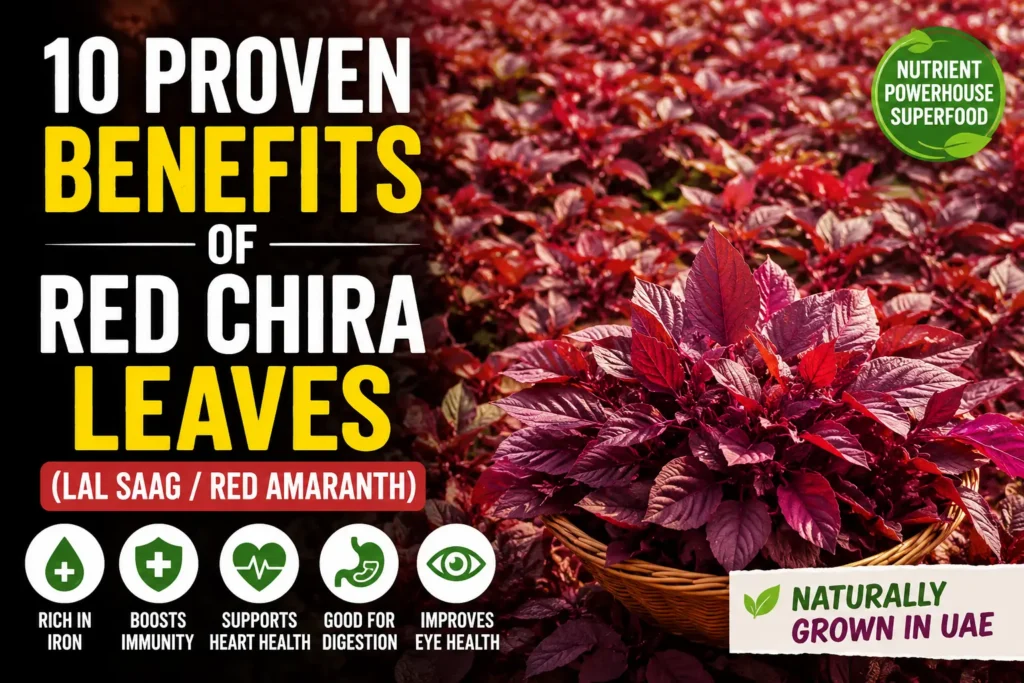 Fresh red chira leaves benefits and nutrition guide in UAE