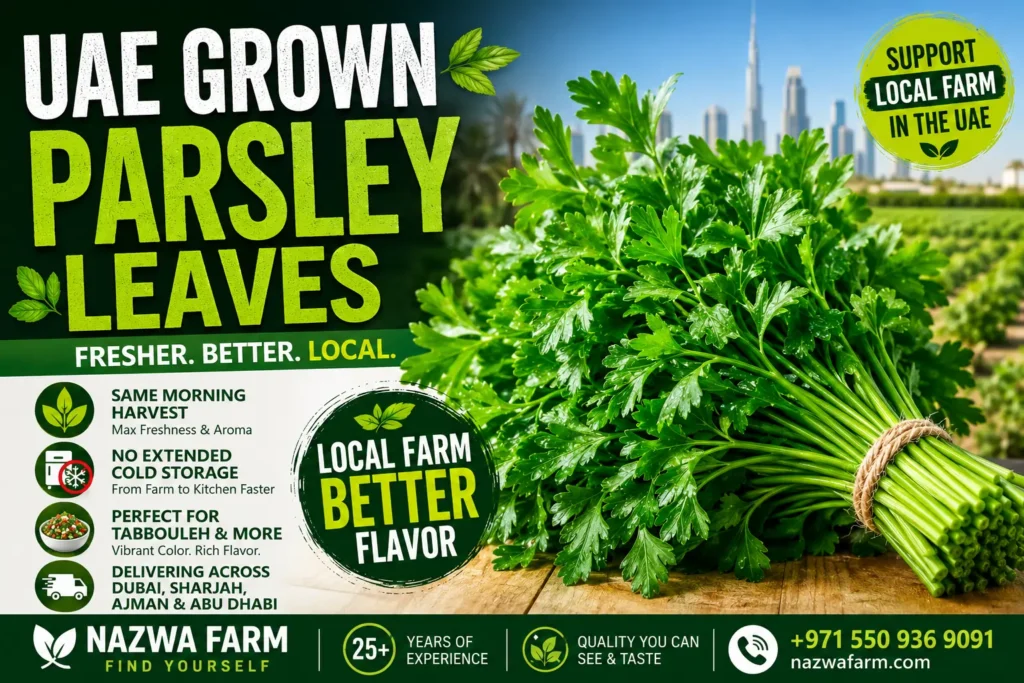 UAE grown parsley leaves