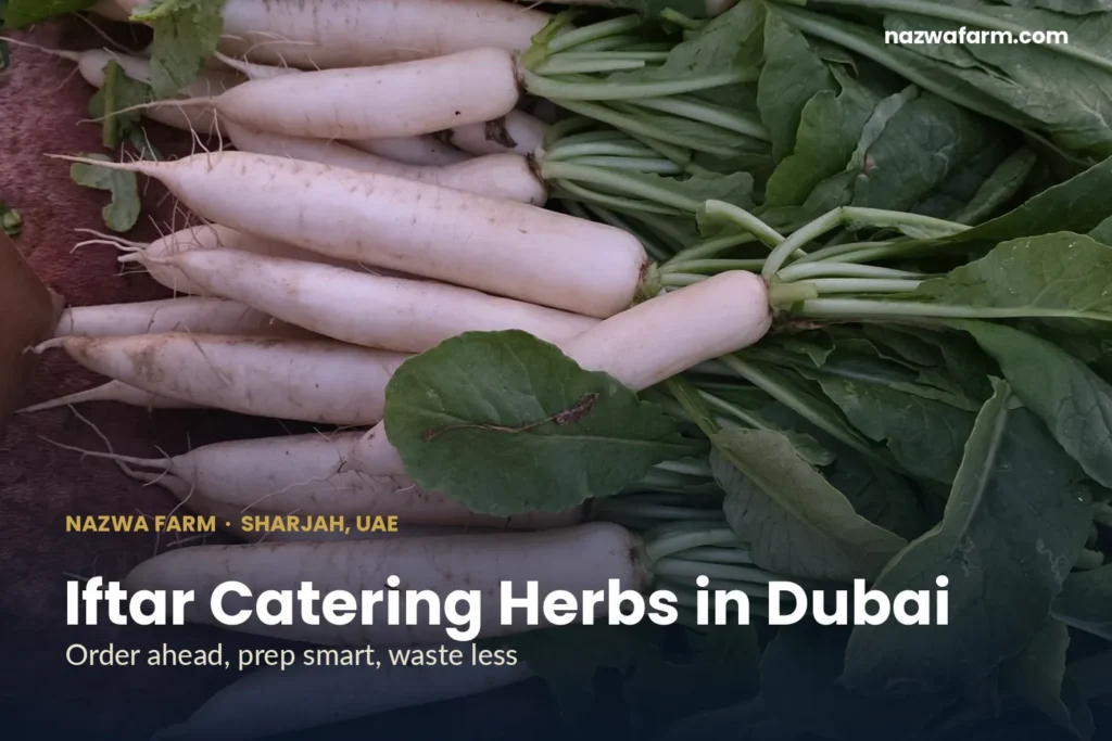 Vegetables Races Iftar Catering Vegetables Dubai: Order Herbs Without Waste